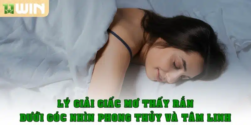 Lý giải giấc mơ thấy rắn dưới góc nhìn phong thủy và tâm linh