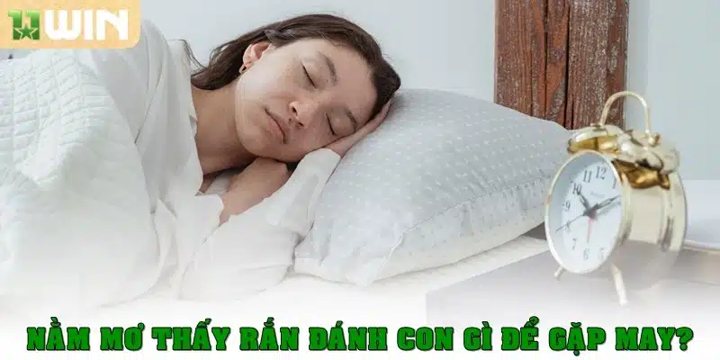 Nằm mơ thấy rắn đánh con gì để gặp may?